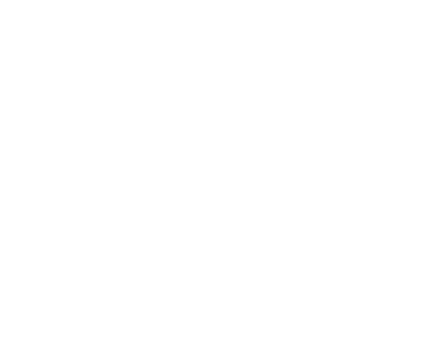 Phantom Medical, Inc.